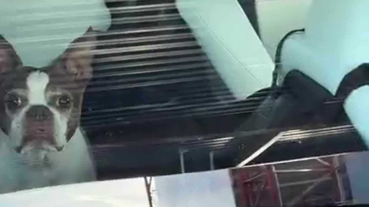 i think bro needs help