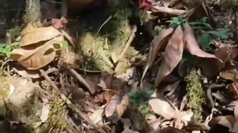 🔥💥 Myanmar War | Kachin Independence Army Raids Burmese Army Camp | RCF