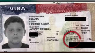 😂🤯 This Immigrant's Clever Escape Plan! | FunFM