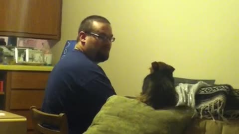 Small Dog Enjoys Owner's Piano Playing