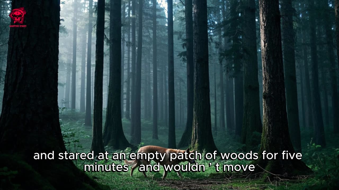 A 6-Year-Old Vanished for 3 Days — Then Said He Was With “The Man in the Green Room”