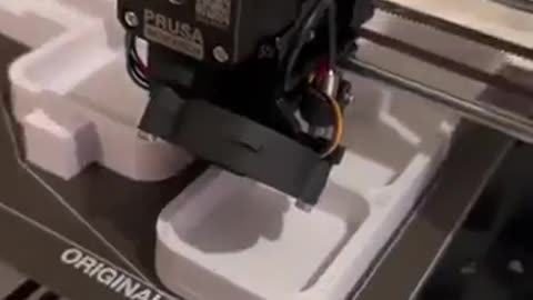 Guy makes insane house for a frog!!!