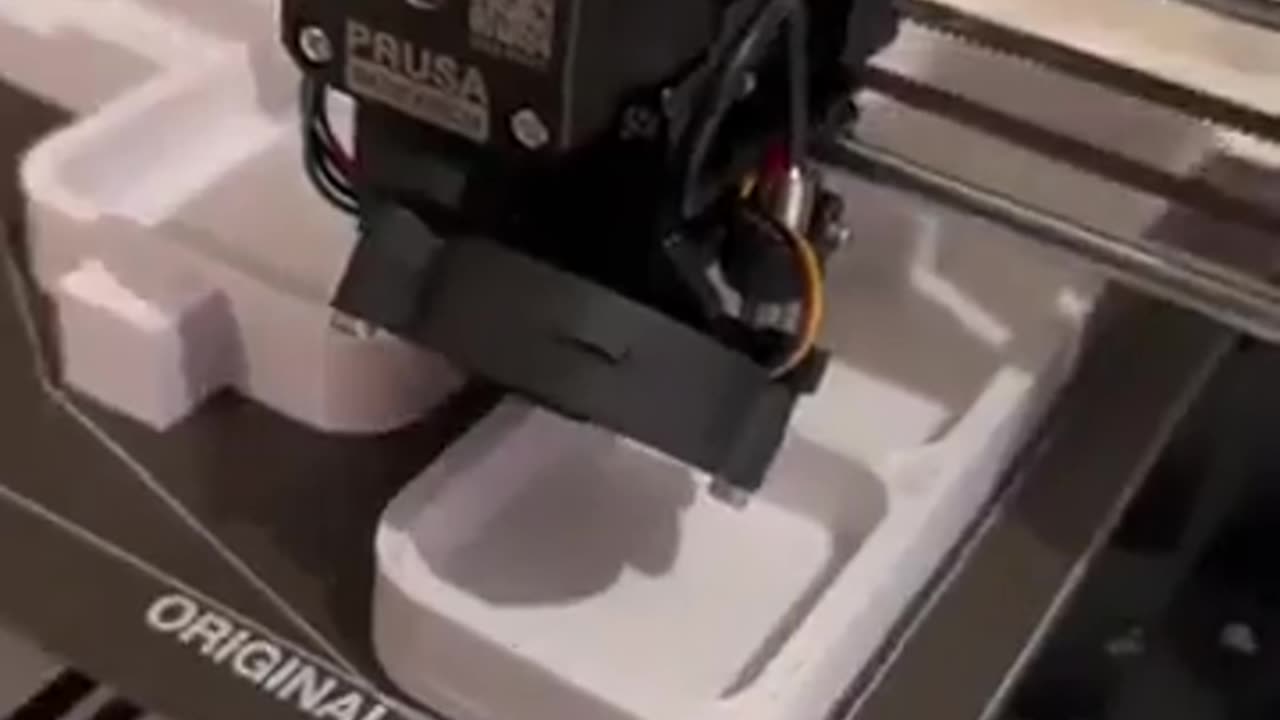 Guy makes insane house for a frog!!!