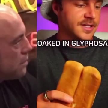 Joe Rogan breaks down the real reason flour negatively affects so many people