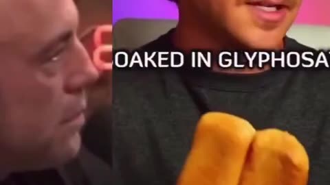 Joe Rogan breaks down the real reason flour negatively affects so many people