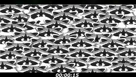 Raccoon puzzle: Have a raccoon between the pandas, only few find it