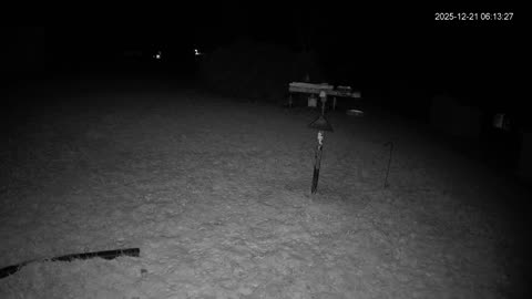 Bird Feeder in Western Maryland USA