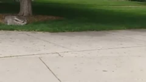 End-Time Preaching @ University of Montana: Unkept Student Wants Anarchy; Natives Reject Christ