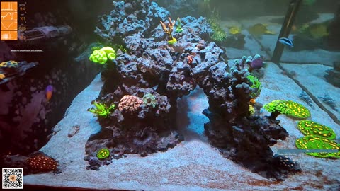 24/7 Real Live Reef Stream