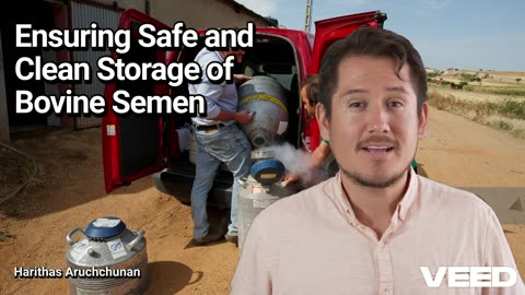 Essential Steps for Bovine Semen Storage