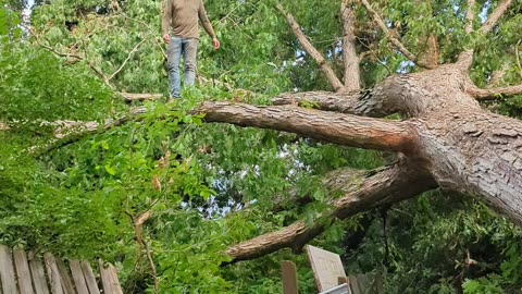 They Had Just Dropped the Insurance!