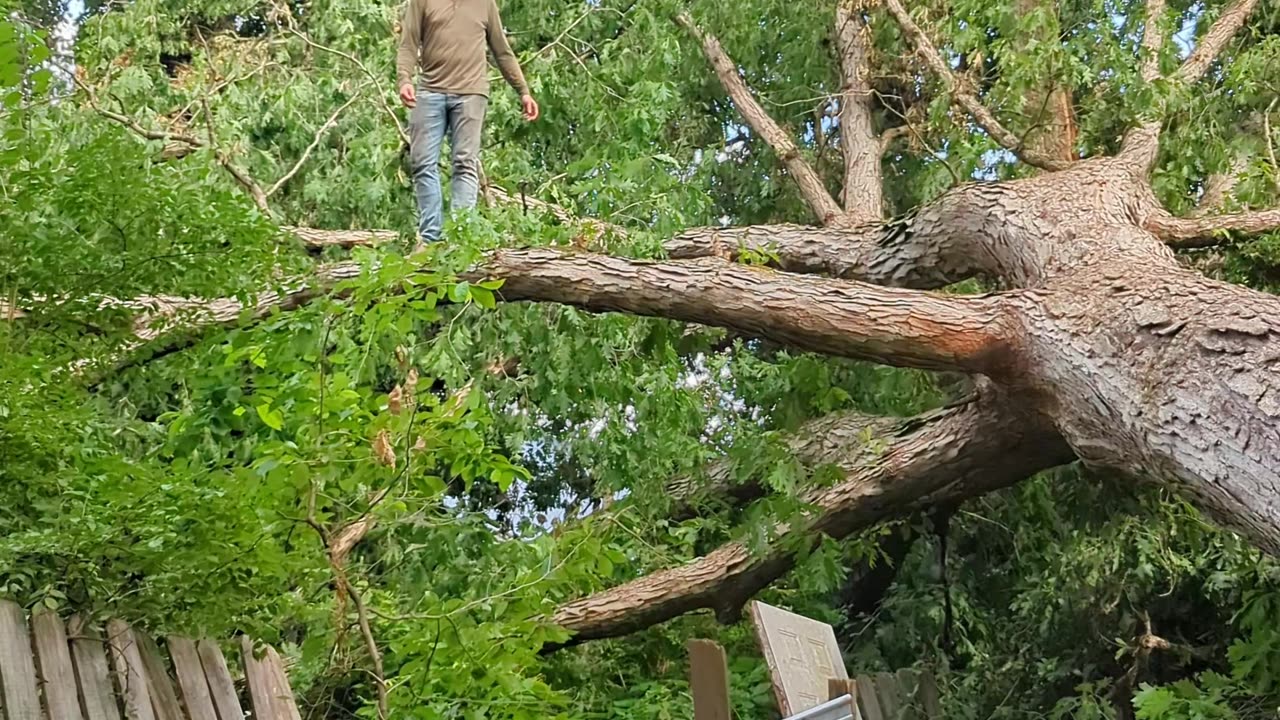 They Had Just Dropped the Insurance!