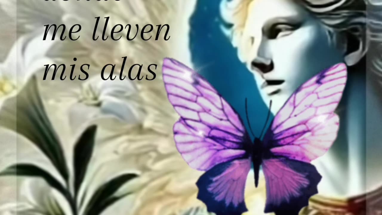 REFLEXIÓN ✨️ ✨️