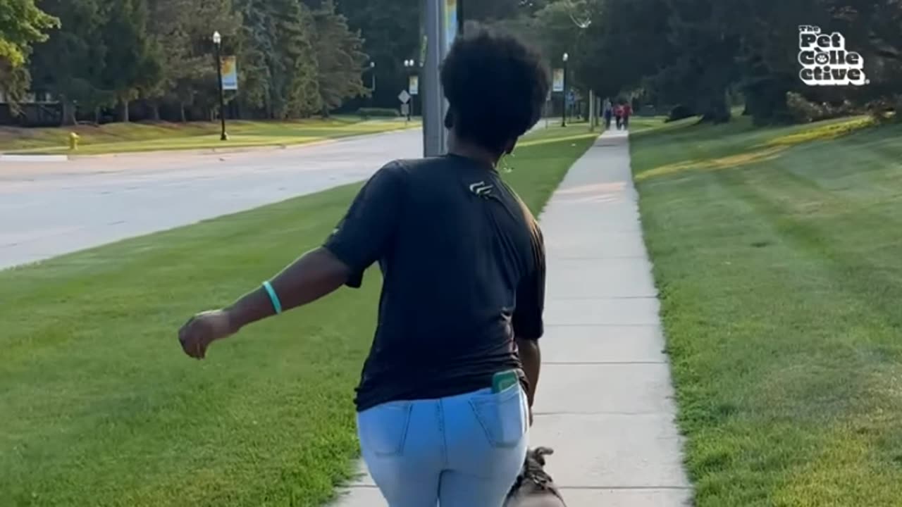 🐶 FUNNY Pets | Hilarious Animals Compilation 2025! 🐾😂