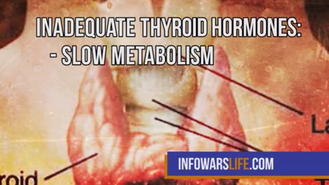 IW Archives 2017 Sep 27