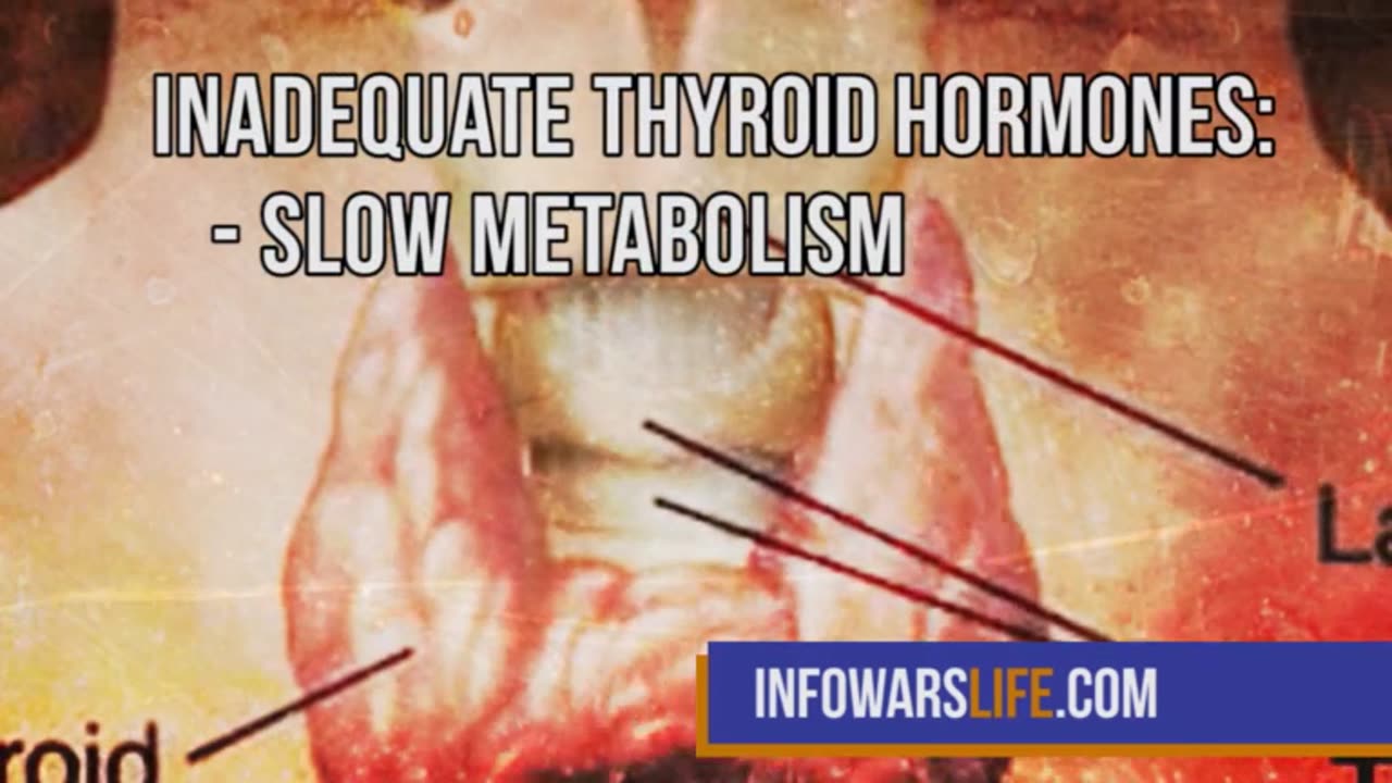 IW Archives 2017 Sep 27