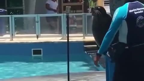 😂🐆 Let's Get These Animals Domesticated! | FunFM