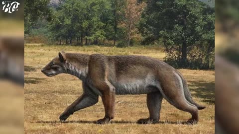 Top 10 EXTINCT ANIMALS of Bulgaria