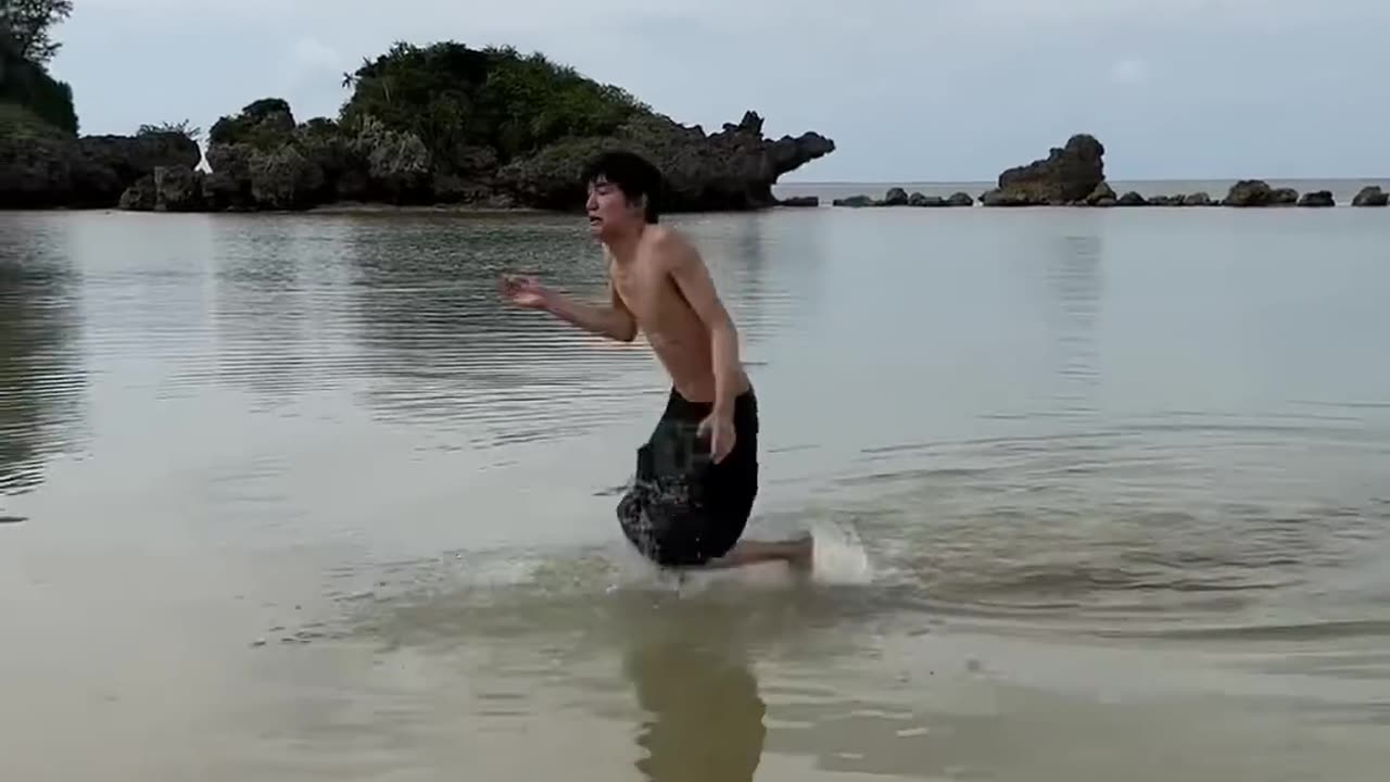 funny video 😂😂😂