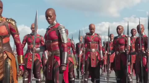 Black Panther Superhit Action Seen