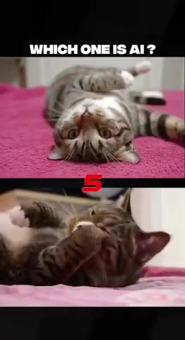 A TEST FOR YOU - REAL OR AI