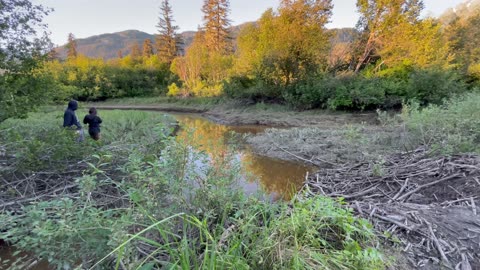 Boat Fails to Jump Beaver Dam