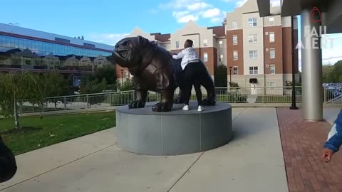 Funny Fails Compilation: People Failing Hilariously