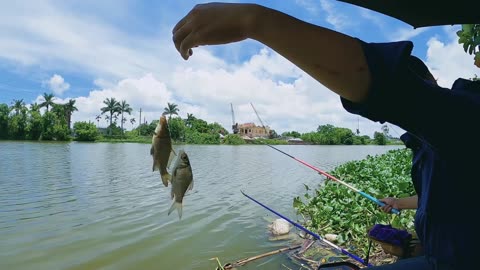 Bluegill Bonanza Fun for All Ages