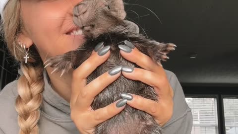 Mornings With Hazel the Baby Porcupine