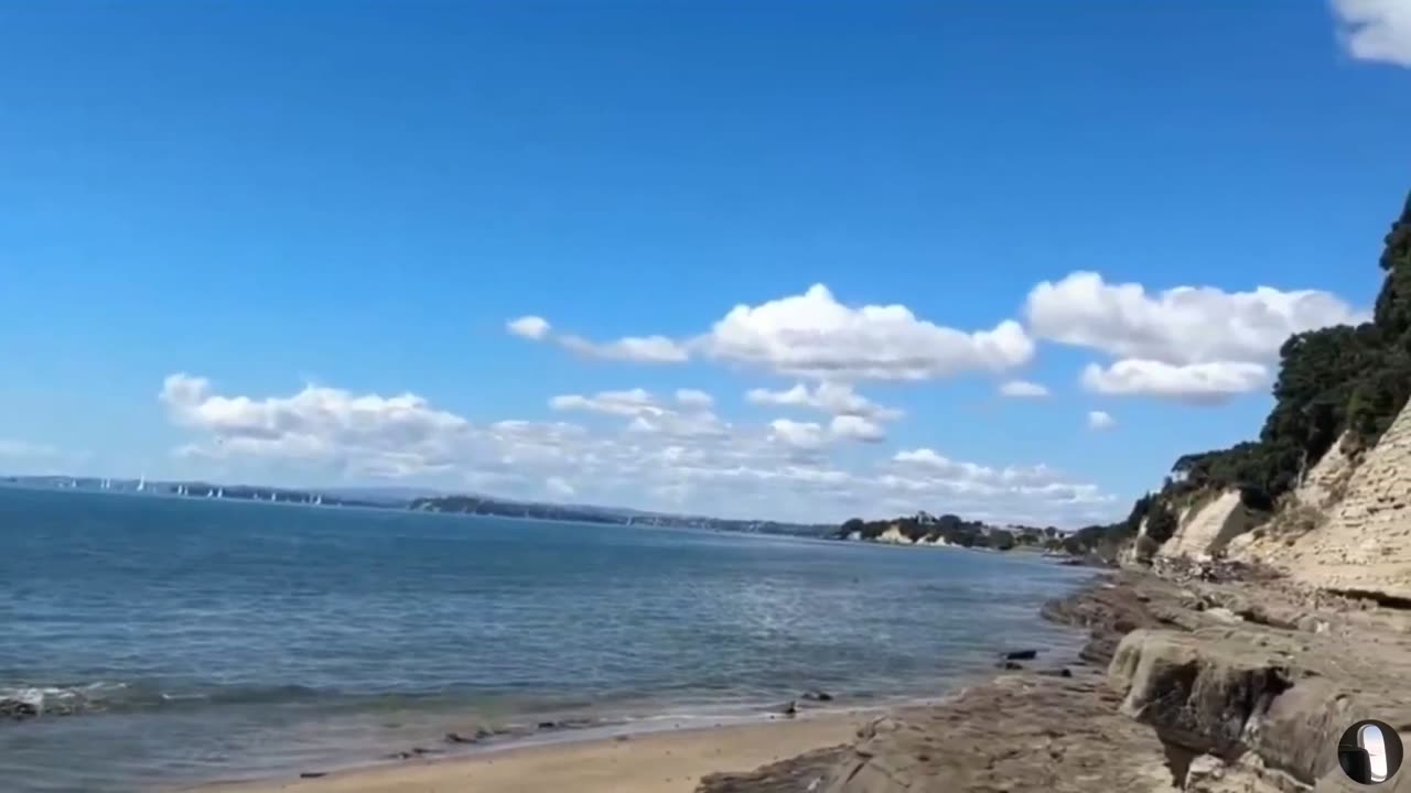 St Leonards Bay Auckland New Zealand Tour
