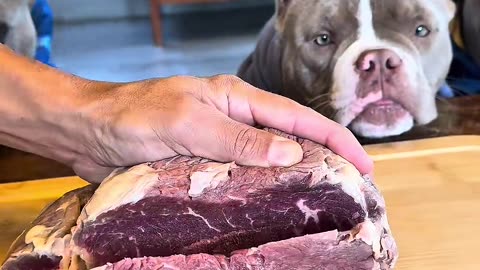 Sirloin with Raspberry 😋🐾