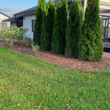 An ideal vacation away from the city in a Magical place