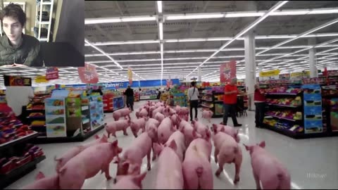 Outtake #1,019 Of Over 20 Pigs Roam Around A Walmart Supercenter Fake Funny Parody Video