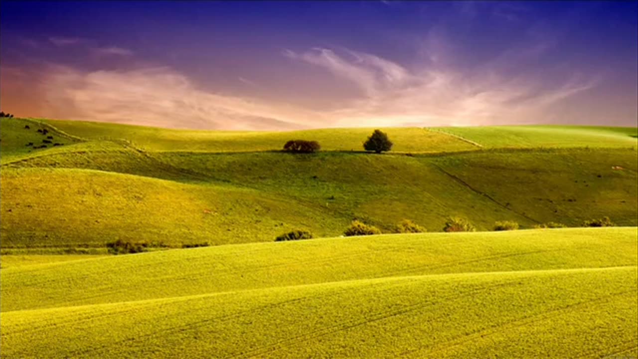 زُيِّنَ لِلنَّاسِ حُبُّ الشَّهَوَاتِ _ نايف الفيصل