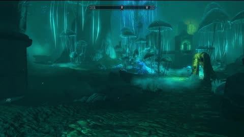 Skyrim SP Modded Part 19 Can't cont. READ DESCRIPTION