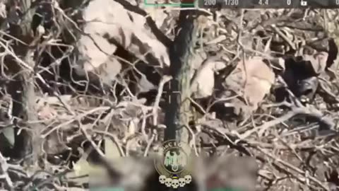 Insane Drops