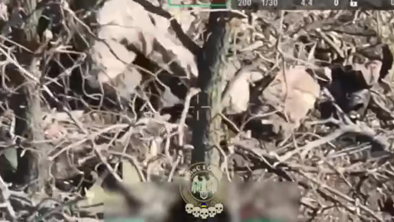 Insane Drops