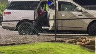Bear acting like a child!