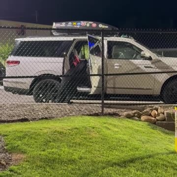 Bear acting like a child!