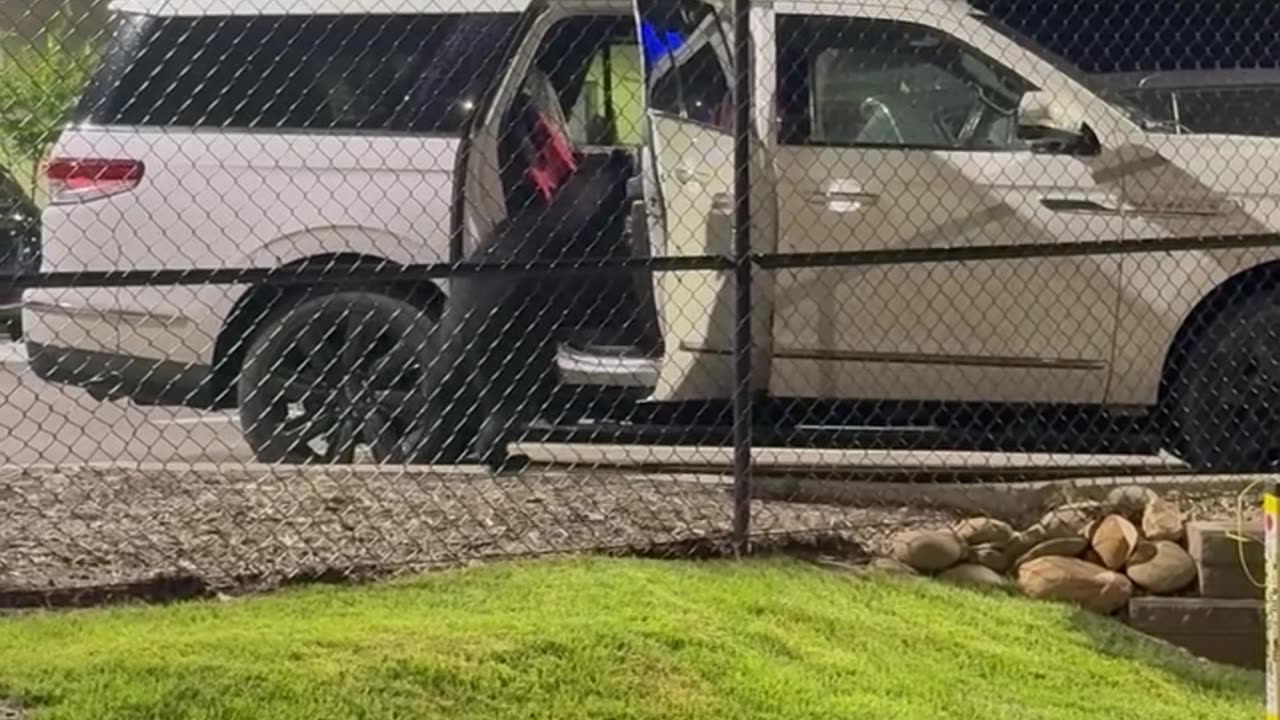 Bear acting like a child!