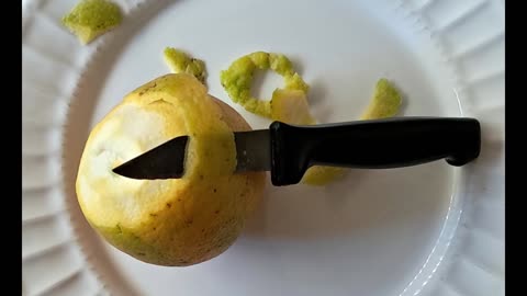 FOOD & MEDICINE: The Organic Orange