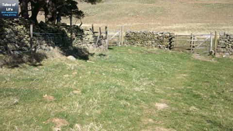 Crummock Craic pt 2