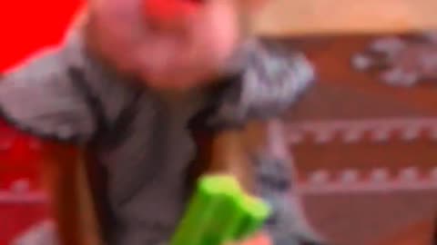 funny monkey