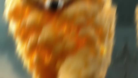 Dogs + Planets (Dalmatian, Great Dane, Husky, German Shepherd) (2160p60)