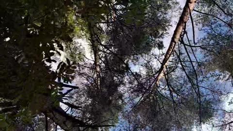 Look Up: See More, Feel the Difference! ⬆️