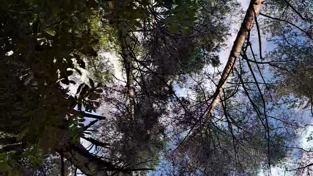Look Up: See More, Feel the Difference! ⬆️
