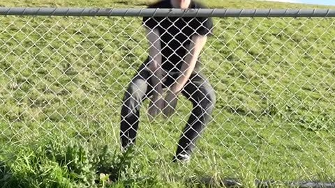 How animals jump over fence(with emojis)