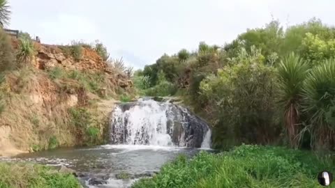 Pokeno Waterfall Auckland New Zealand Tour
