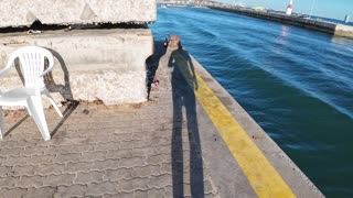 Kayak on The South Side, PT - Margem Sul, S02E10 DESCIDA DO SADO 14th Sept 2025 Part 35.2
