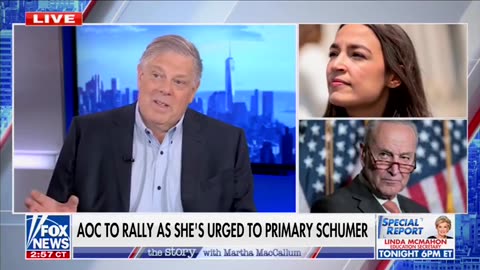 Former Clinton Pollster Warns AOC Challenging Chuck Schumer Could Be Final Blow For Dems